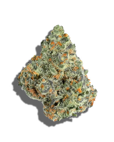 Mitten Cake(Hybrid)