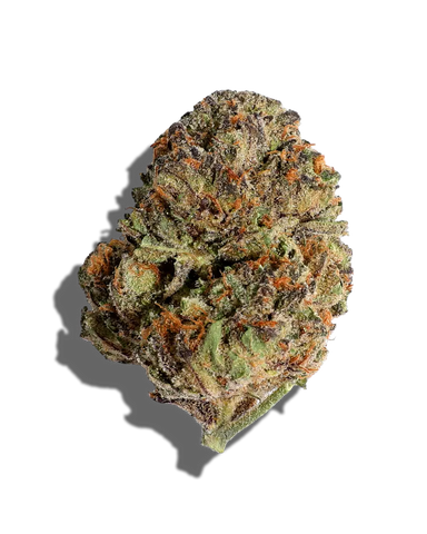 Purple Biscotti(Hybrid)