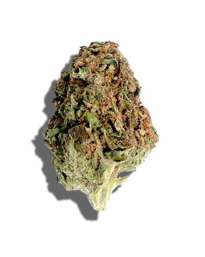 Double Stuffed Oreoz(Hybrid)