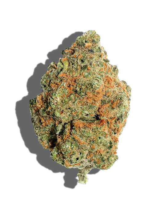 Candy Gelato(Hybrid)