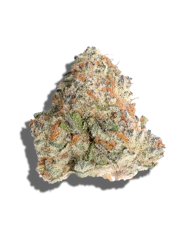 Mochi 30(Hybid)