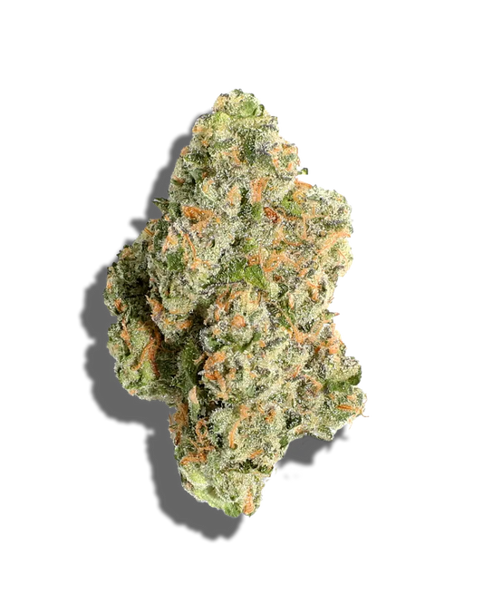 Blueberry Pancakes(Hybrid)