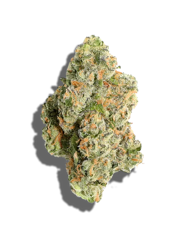 Blueberry Pancakes(Hybrid)