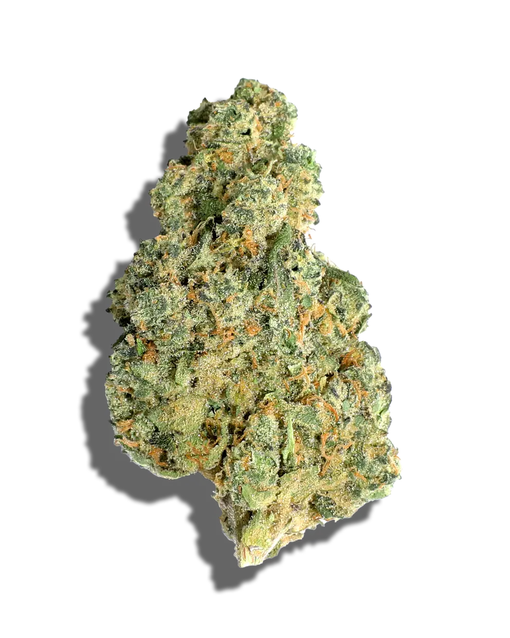 Purple Lemon Haze(Hybrid)