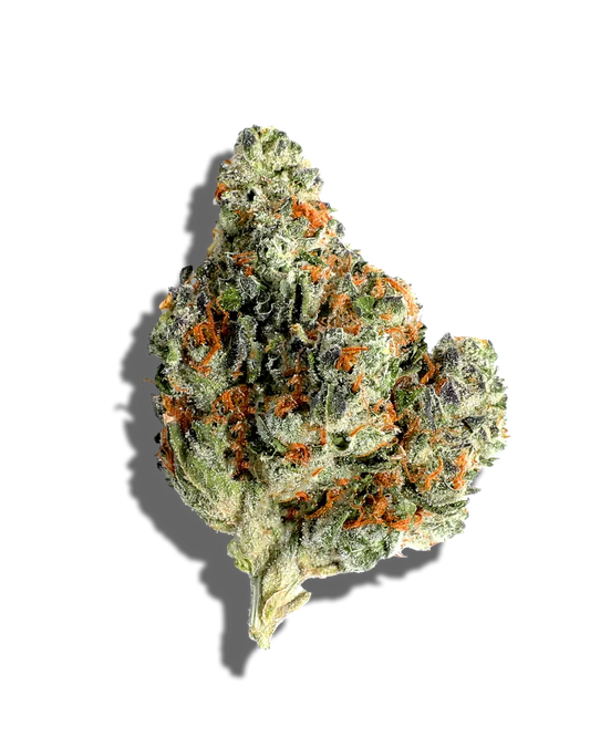 Oreoz(Hybrid)