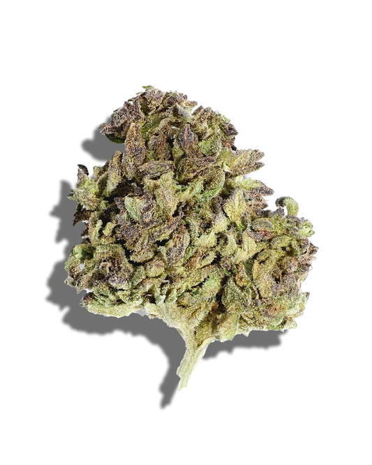 Grape Pie(Hybrid)
