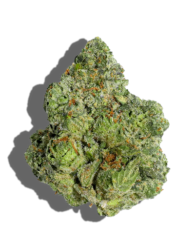 The Sauce(Hybrid)