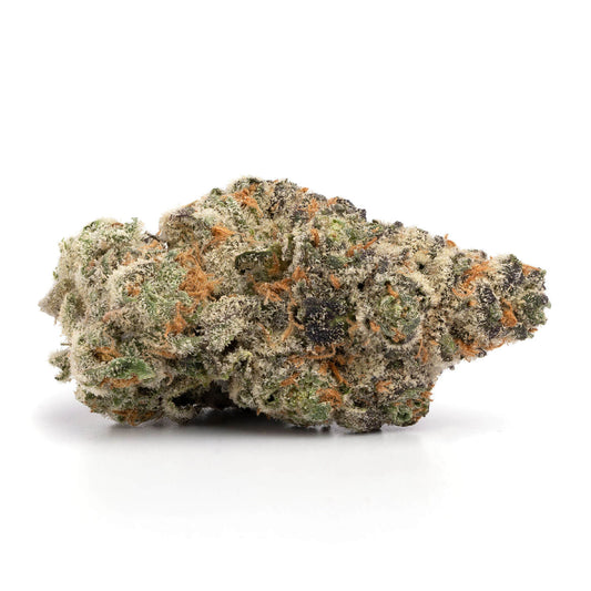 Gelato 31(Hybrid)