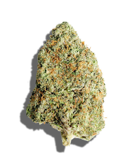 Gelato Cake(Indica)