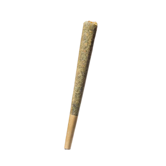 Purple Bay House Prerolls Skywalker OG